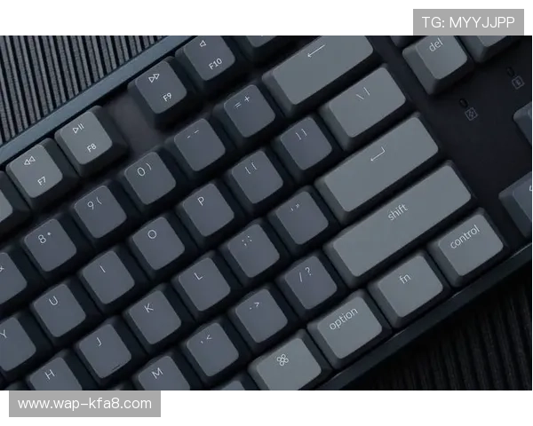 K8 官网最新版本全面介绍与下载指南，帮助玩家快速上手体验