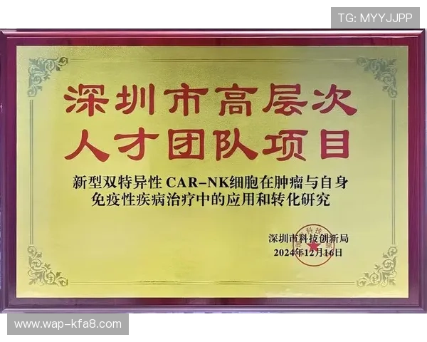 选择合适的K8凯发网址登录线路保障账号安全的实用指南